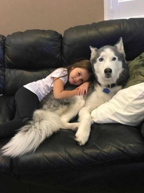 45 Nothing But Awesome Pics (45 photos)