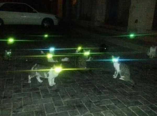 crazy internet pics 31 That Weird Side Of The Internet – Part 68 (40 photos)