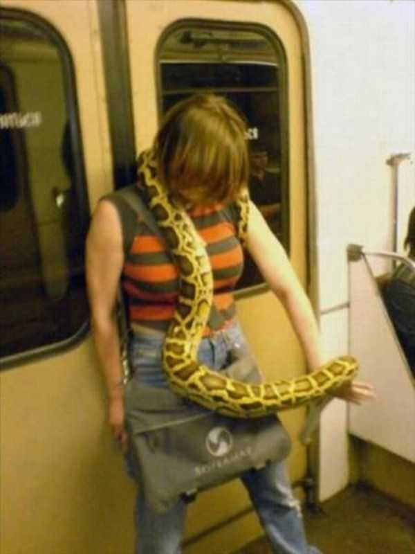 crazy internet pics 6 That Weird Side Of The Internet – Part 68 (40 photos)