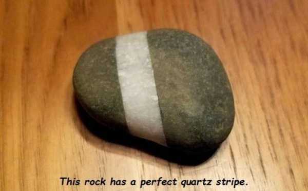 44 Random Pictures With Captions (44 photos)