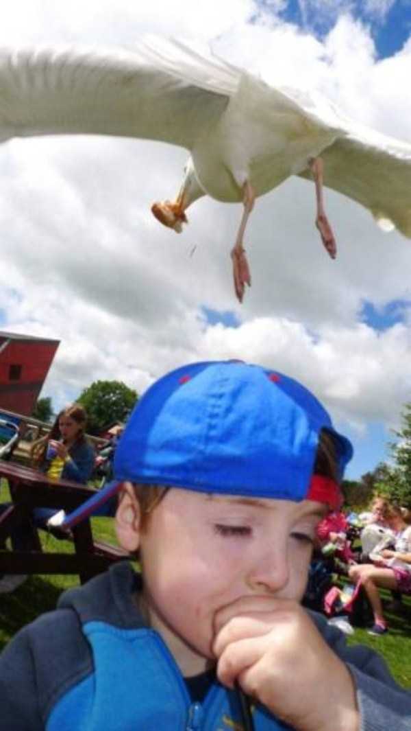 54 Perfectly Timed Photos