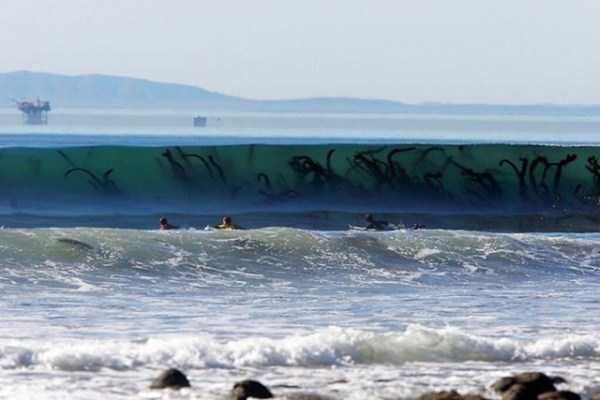 Nature Can Be So Scary (50 photos)
