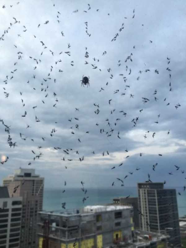 Nature Can Be So Scary (50 photos)