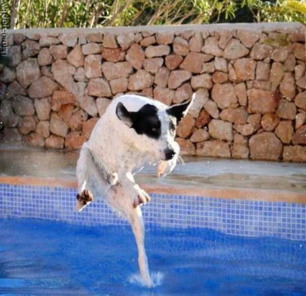 73 Perfectly Timed Photos