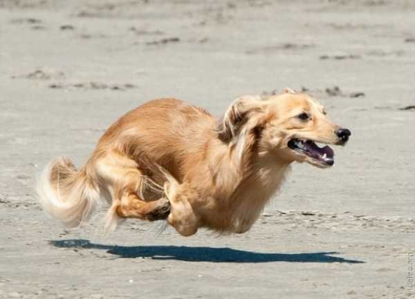 73 Perfectly Timed Photos
