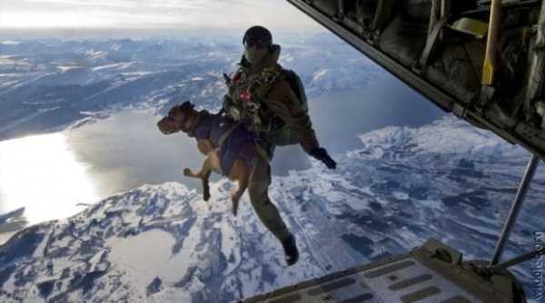 73 Perfectly Timed Photos