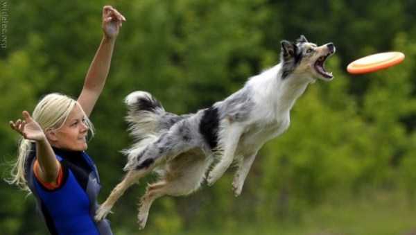 73 Perfectly Timed Photos