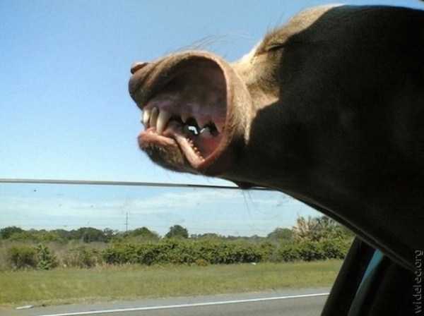 73 Perfectly Timed Photos