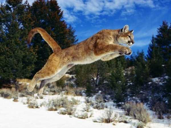 73 Perfectly Timed Photos