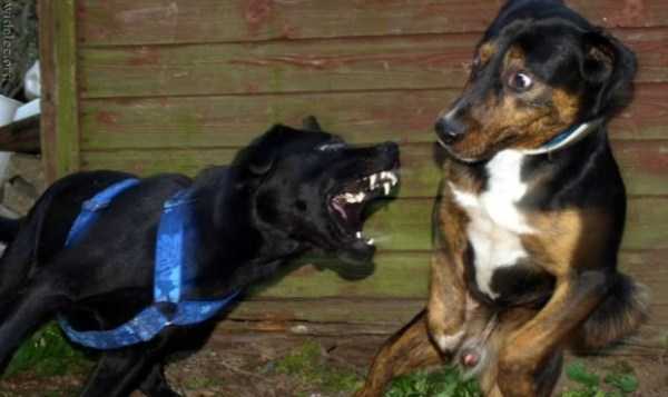 73 Perfectly Timed Photos