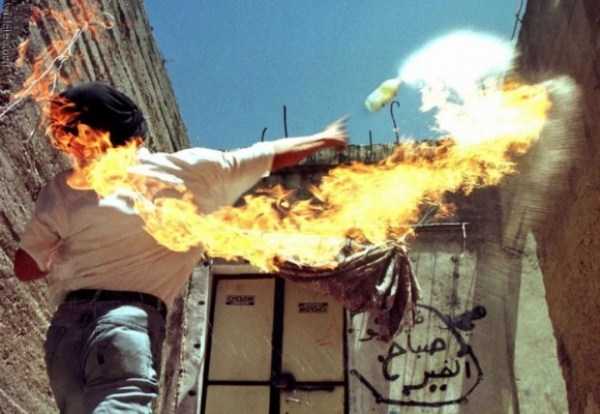 73 Perfectly Timed Photos