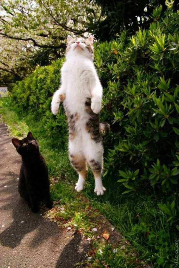 73 Perfectly Timed Photos