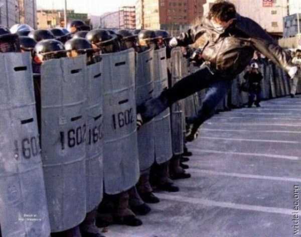 73 Perfectly Timed Photos