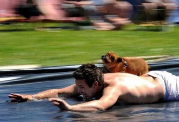 73 Perfectly Timed Photos