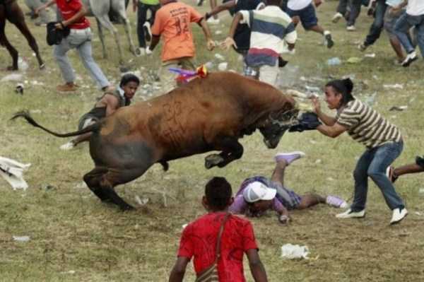 73 Perfectly Timed Photos