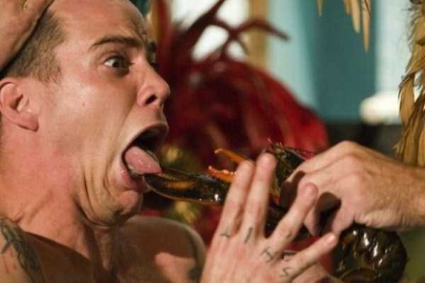 73 Perfectly Timed Photos