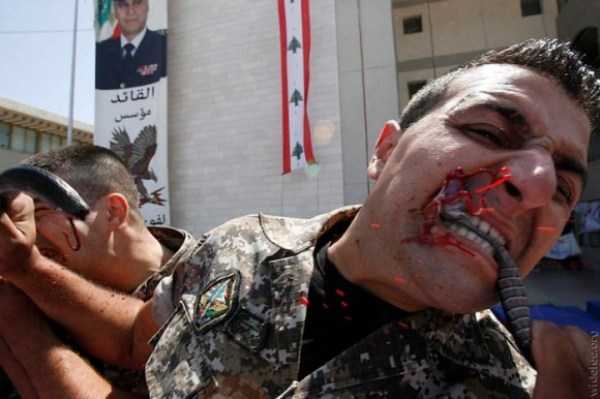 73 Perfectly Timed Photos