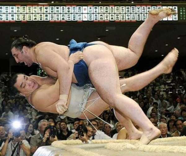 73 Perfectly Timed Photos