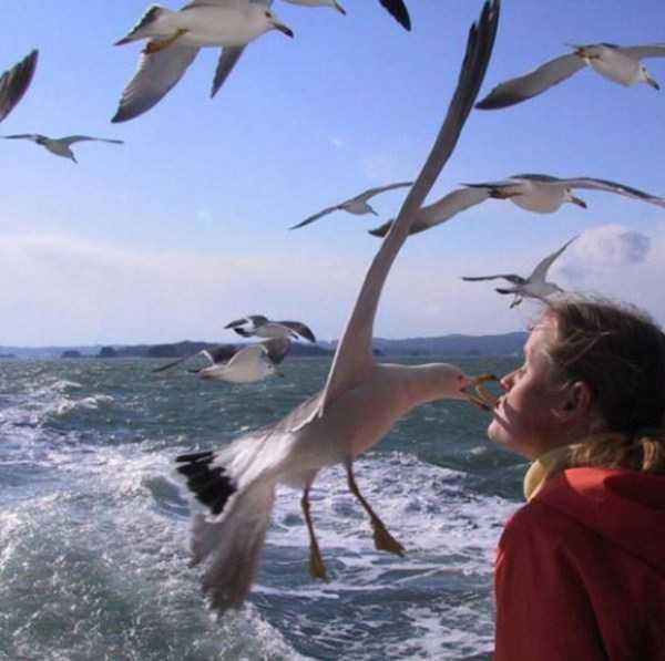 73 Perfectly Timed Photos