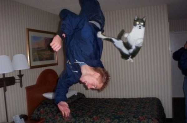 73 Perfectly Timed Photos