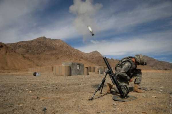 73 Perfectly Timed Photos