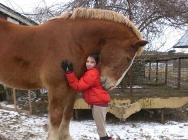 73 Perfectly Timed Photos
