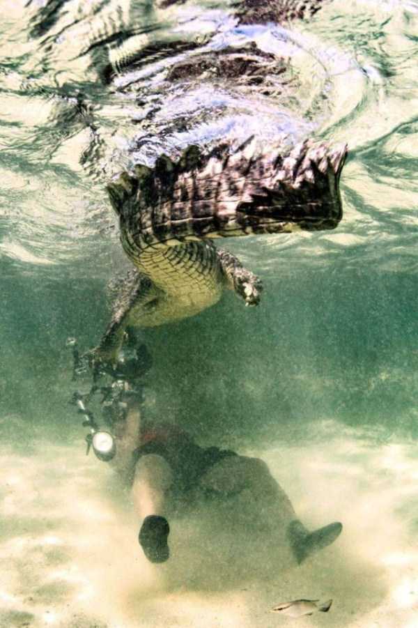 73 Perfectly Timed Photos