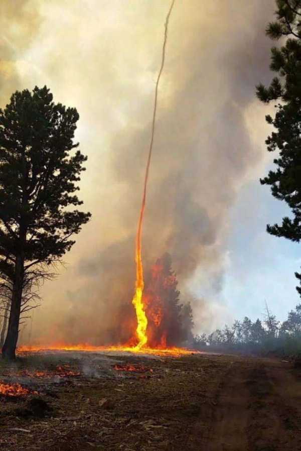73 Perfectly Timed Photos