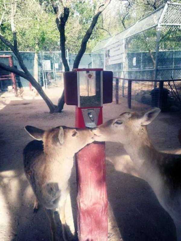 73 Perfectly Timed Photos