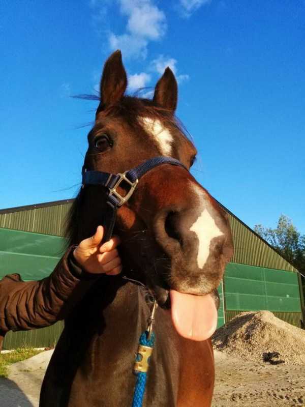 73 Perfectly Timed Photos