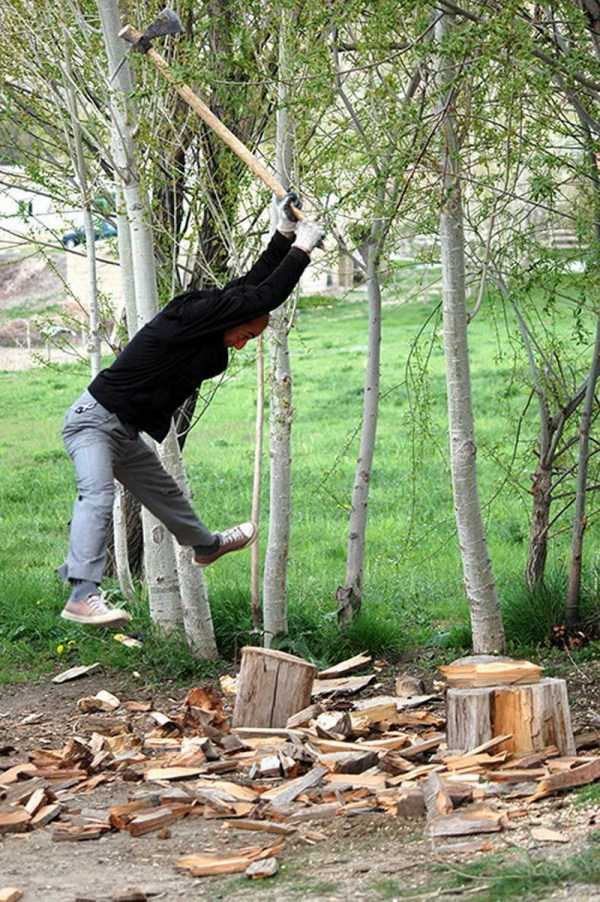 73 Perfectly Timed Photos