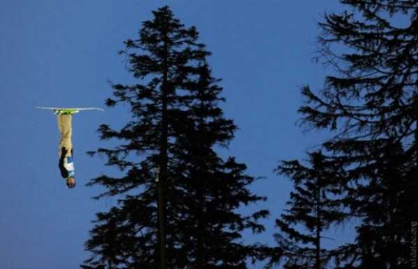 73 Perfectly Timed Photos