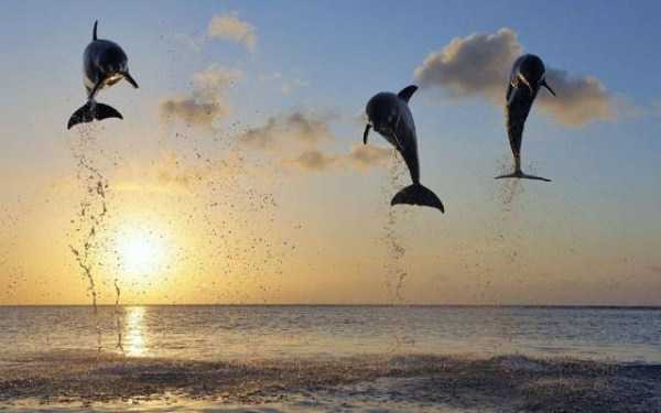 56 Nothing But Awesome Pics (56 photos)