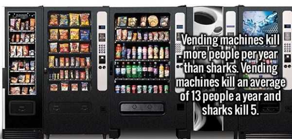It’s Time For Some Cool And Interesting Facts – Part 71 (51 photos)