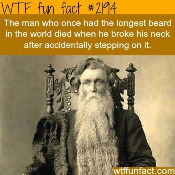 It’s Time For Some Cool And Interesting Facts – Part 70 (54 photos)