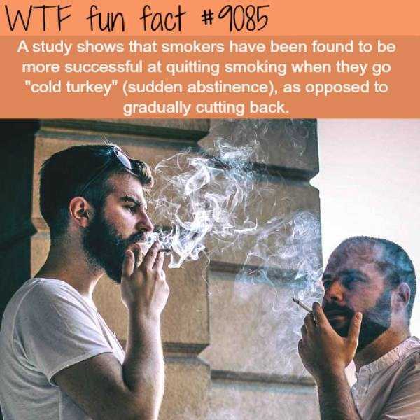 It’s Time For Some Cool And Interesting Facts – Part 70 (54 photos)