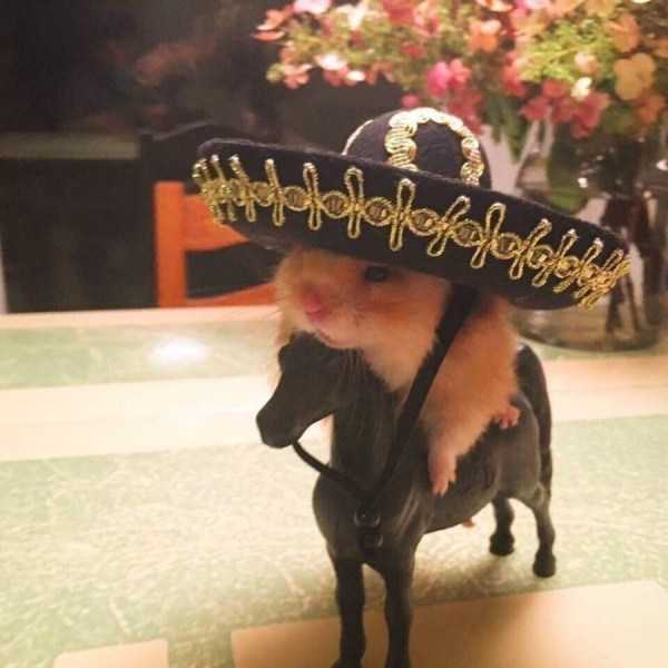 That Weird Side Of The Internet – Part 74 (62 photos)