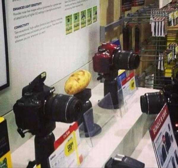That Weird Side Of The Internet – Part 72 (43 photos)