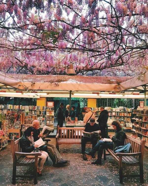 46 Nothing But Awesome Pics (46 photos)
