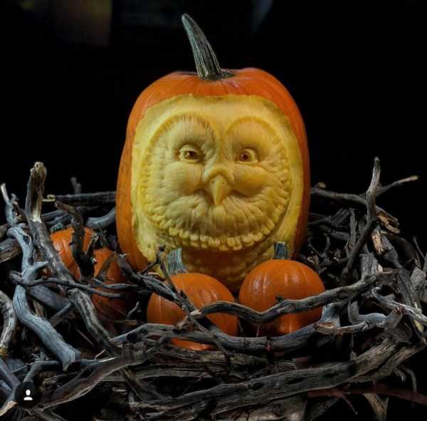 46 Nothing But Awesome Pics (46 photos)