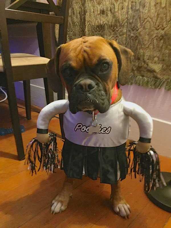 46 Nothing But Awesome Pics (46 photos)