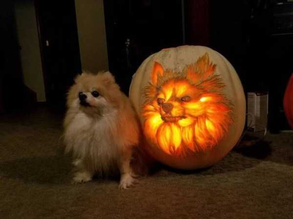 46 Nothing But Awesome Pics (46 photos)