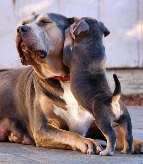 46 Nothing But Awesome Pics (46 photos)