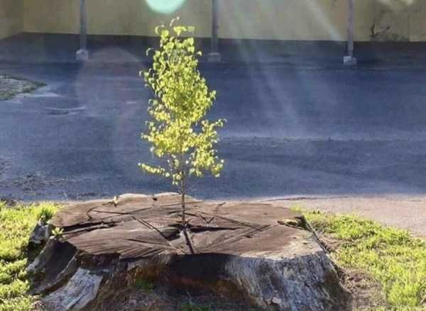46 Nothing But Awesome Pics (46 photos)