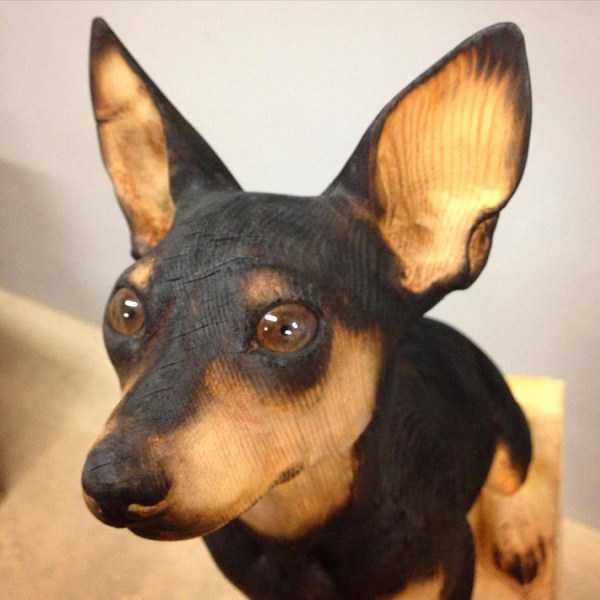 46 Nothing But Awesome Pics (46 photos)