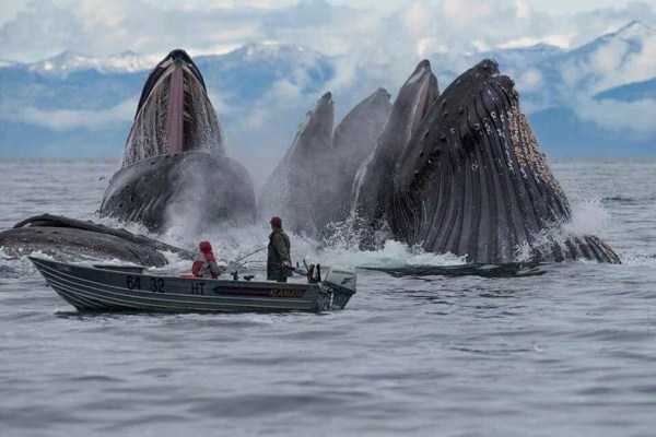 46 Nothing But Awesome Pics (46 photos)