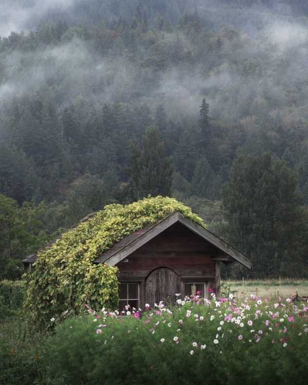 46 Nothing But Awesome Pics (46 photos)