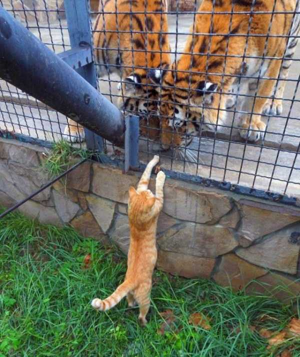 46 Nothing But Awesome Pics (46 photos)