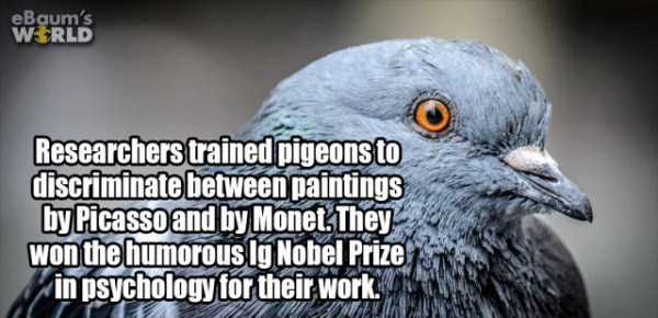 It’s Time For Some Cool And Interesting Facts – Part 72 (55 photos)