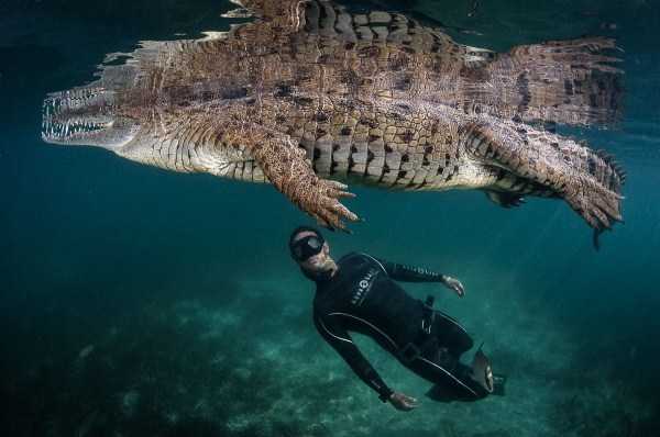 49 Amazing HD Pics That Will Please Your Eyes (49 photos)